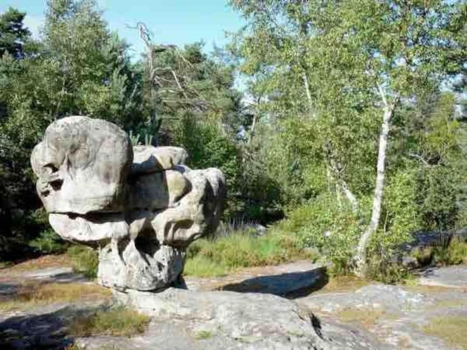 La Pause Allongee - Fontainebleau Hypercentre Esterno foto